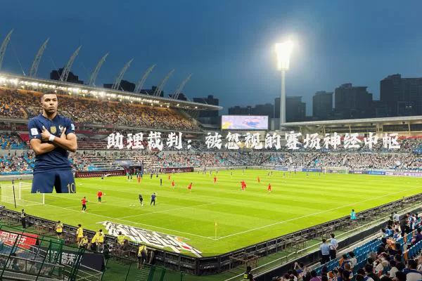 助理裁判：被忽视的赛场神经中枢